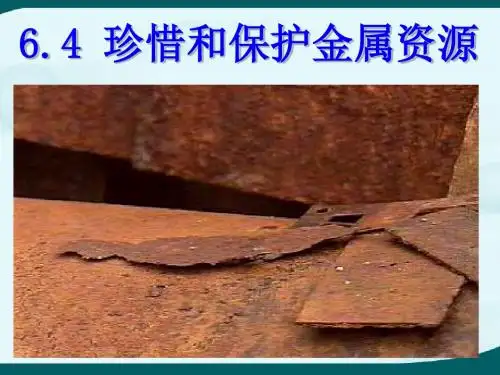 6.4_珍惜和保护金属资源