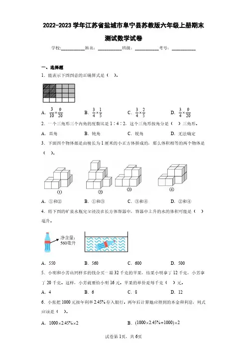 2022-2023学年江苏省盐城市阜宁县苏教版六年级上册期末测试数学试卷(含答案解析)