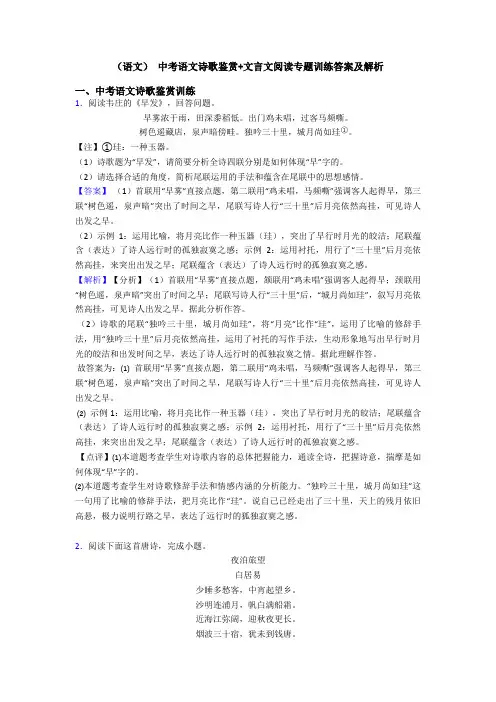 (语文) 中考语文诗歌鉴赏+文言文阅读专题训练答案及解析