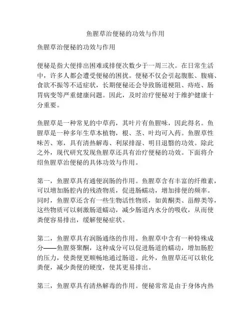 鱼腥草治便秘的功效与作用