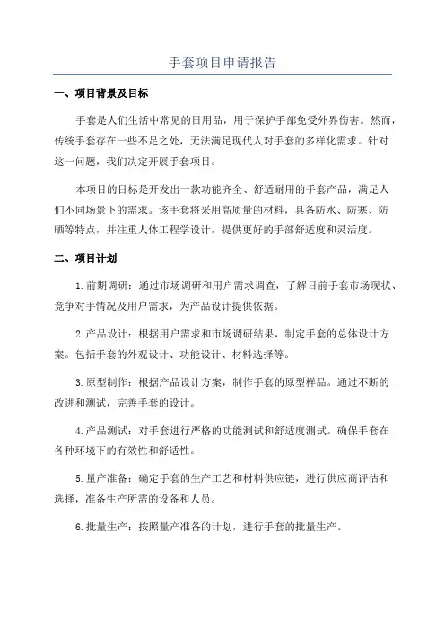 手套项目申请报告