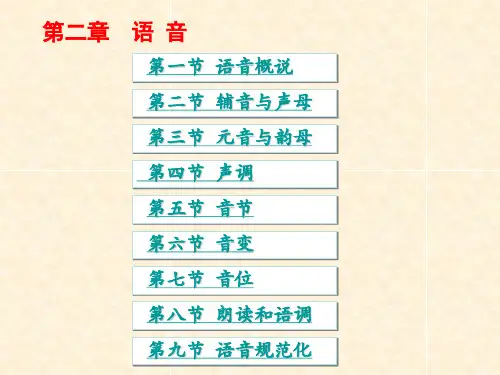 现代汉语第二章语音解读