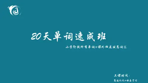 中小学英语单词30小时快速记忆(二)——身体部位类