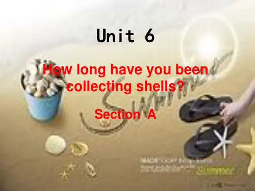 初中英语八年级下册Unit6 How long have you been collecting shells-0Section  A