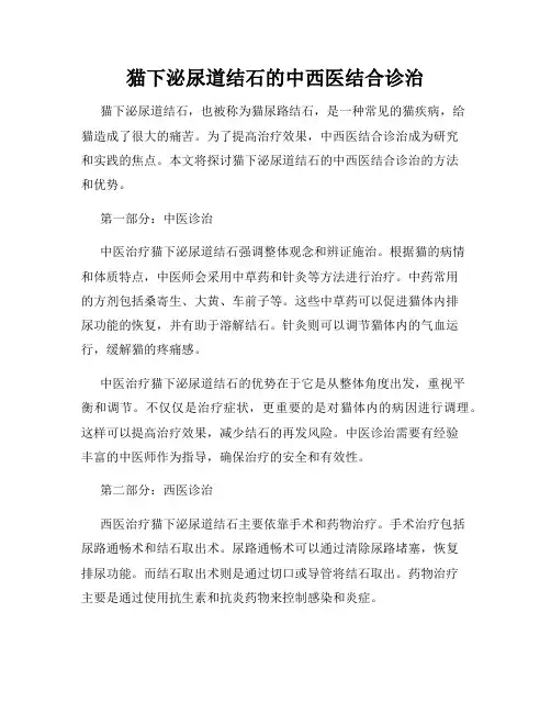 猫下泌尿道结石的中西医结合诊治