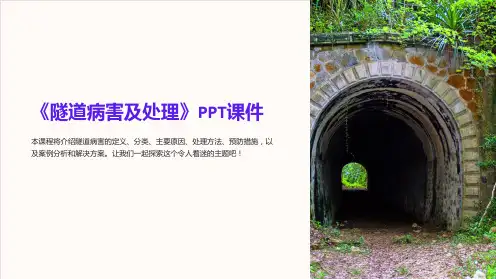 《隧道病害及处理》课件