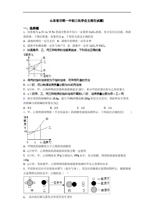 山东省日照一中初三化学自主招生试题)