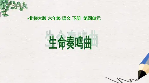 六年级语文下册 第4单元 生命《生命奏鸣曲》课件 北师大版