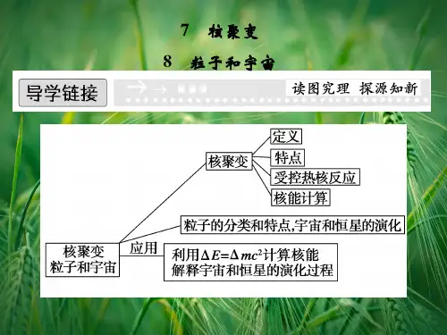 19-7.8 核聚变 粒子和宇宙课件 新人教版选修3-5课件