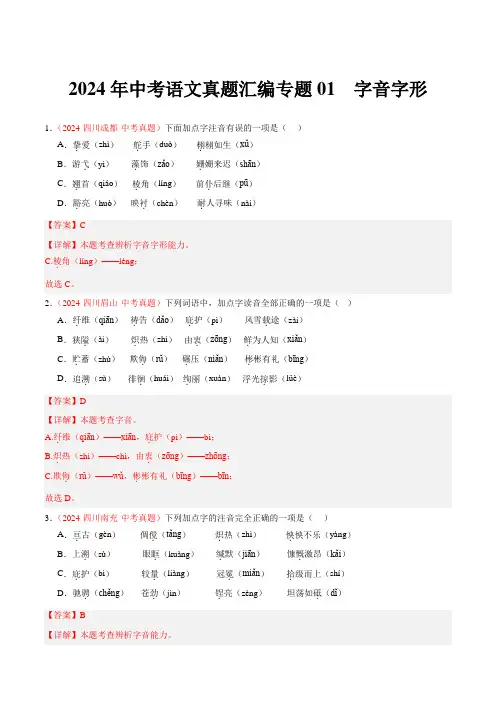 2024年中考语文真题汇编专题01  字音字形(教师版)