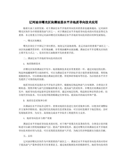 辽河油田曙光区块薄油层水平井地质导向技术应用