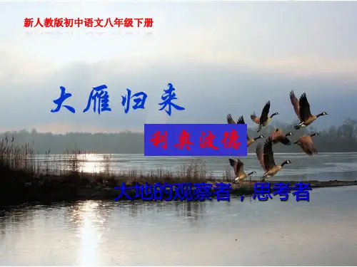 《大雁归来》示范课教学课件(新人教版初中语文八年级下册)