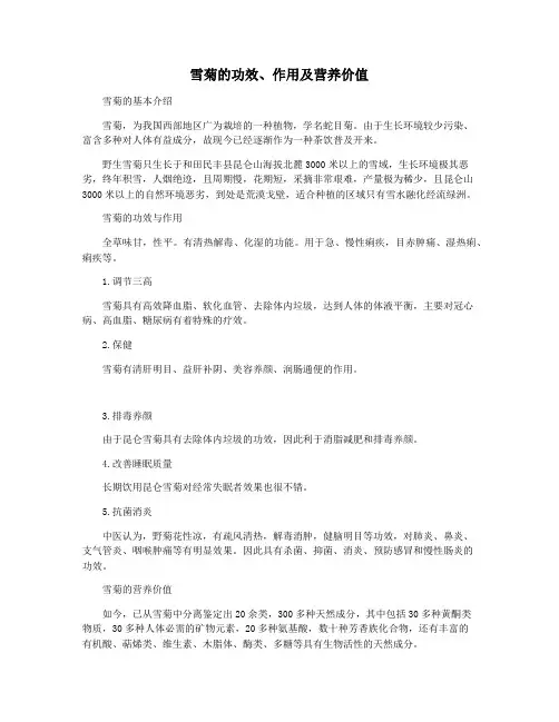 雪菊的功效作用及营养价值