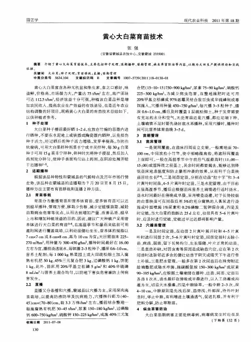黄心大白菜育苗技术