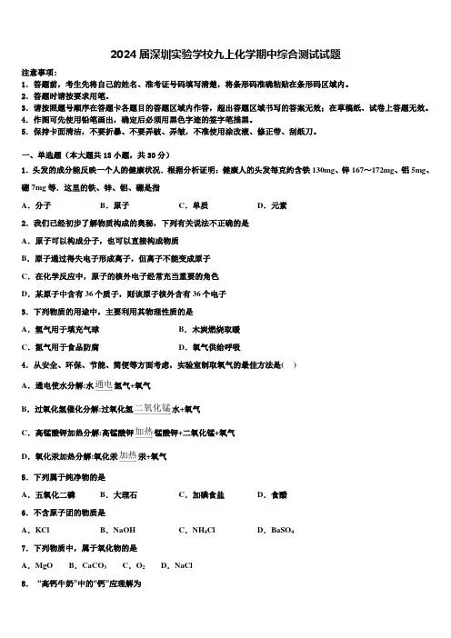 2024届深圳实验学校九上化学期中综合测试试题含解析