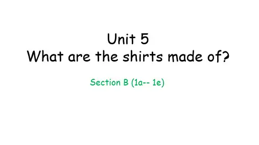 Unit+5+Section+B+课件2024-2025学年人教版英语九年级全册+