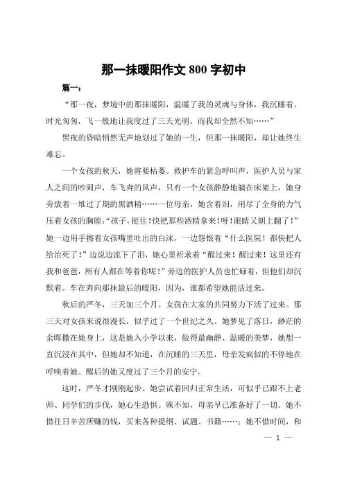 那一抹暖阳作文800字初中