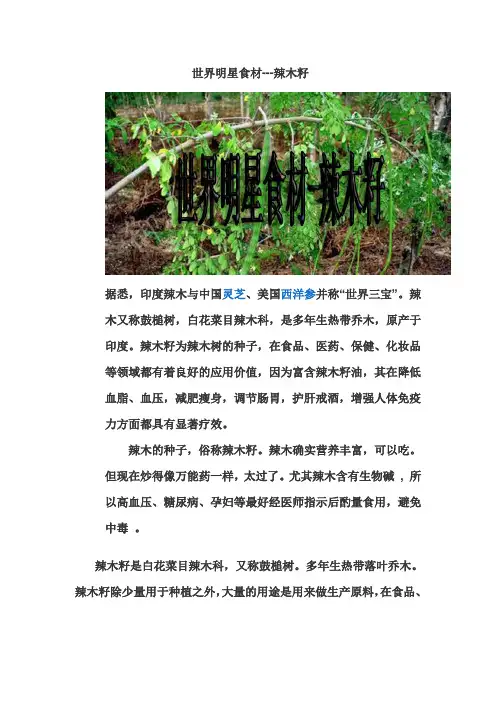 辣木籽