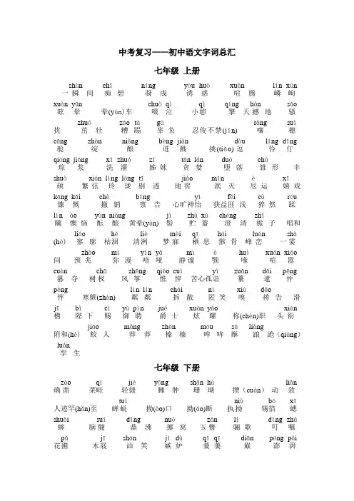 中考复习——初中语文字词总汇