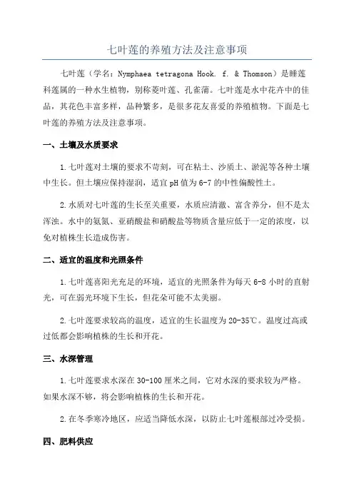 七叶莲的养殖方法及注意事项