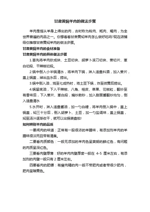 甘肃黄焖羊肉的做法步骤
