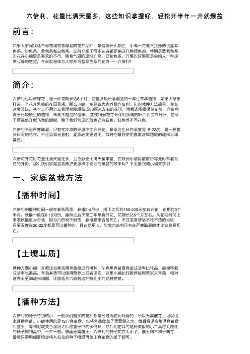 六倍利，花量比满天星多，这些知识掌握好，轻松开半年一开就爆盆