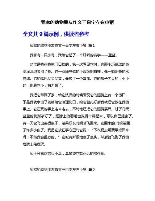 我家的动物朋友作文三百字左右小猪