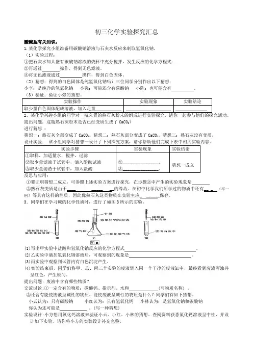 酸碱盐知识 实验探究