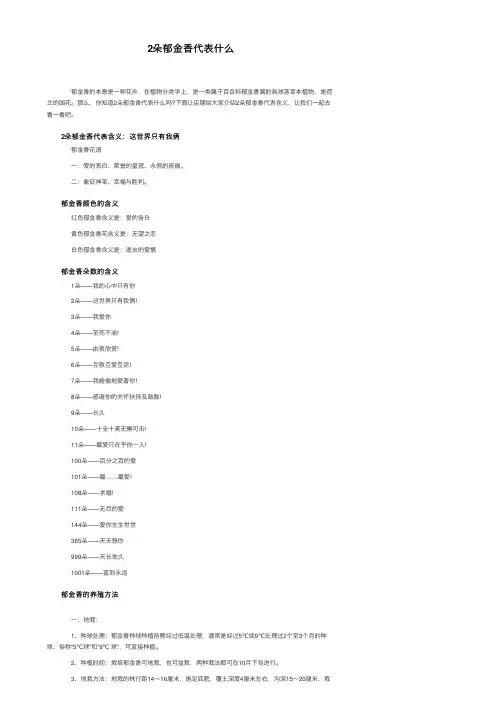 2朵郁金香代表什么