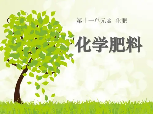 《化学肥料》盐化肥2-人教版九年级化学下册PPT课件