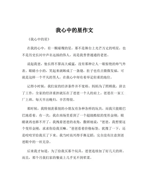 我心中的星作文
