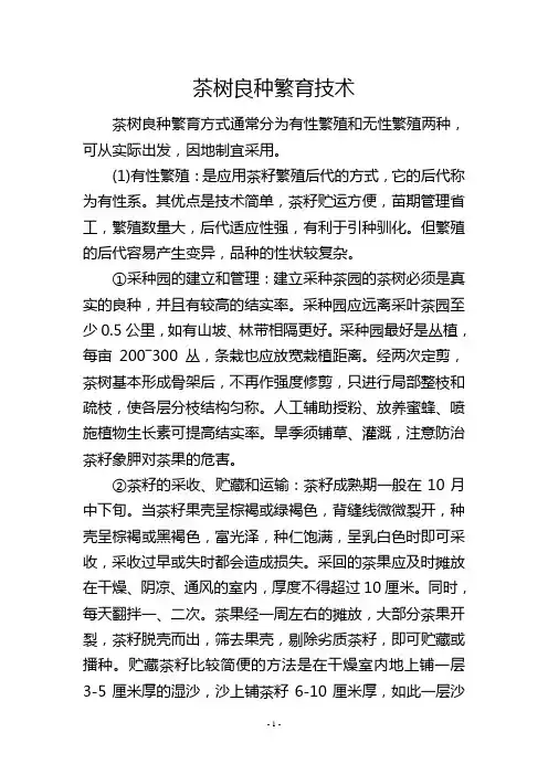茶树良种繁育技术