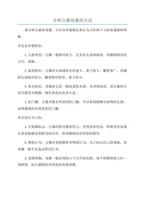 分辨公猫母猫的方法
