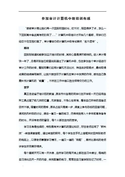 (推荐)参加审计计算机中级培训有感