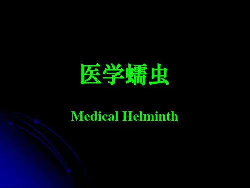 医学蠕虫概述,线虫,蛔虫