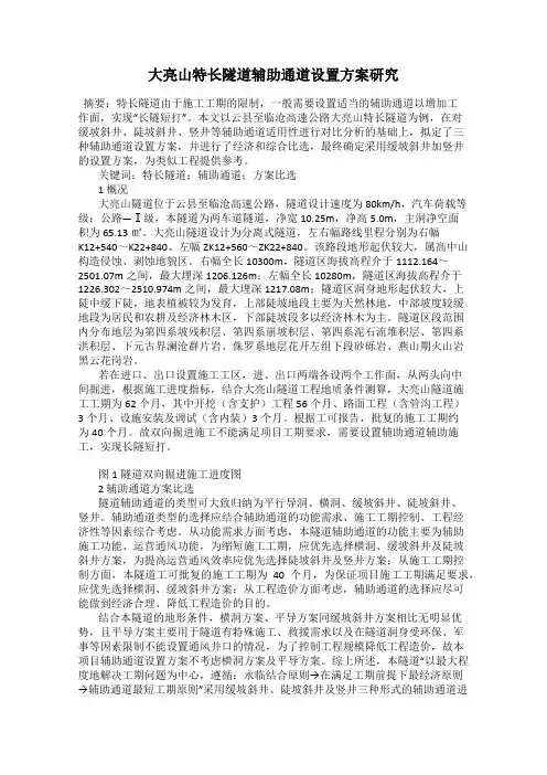 大亮山特长隧道辅助通道设置方案研究