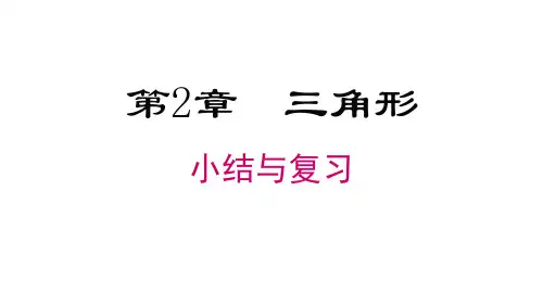 第2章 三角形小结与复习 湘教版八年级数学上册课件