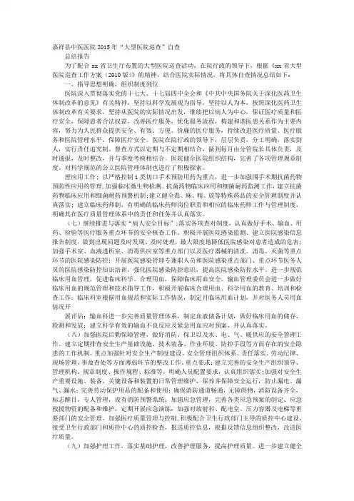 巡察自查报告