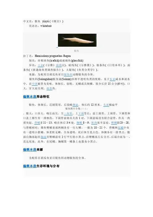 大理银鱼——精选推荐