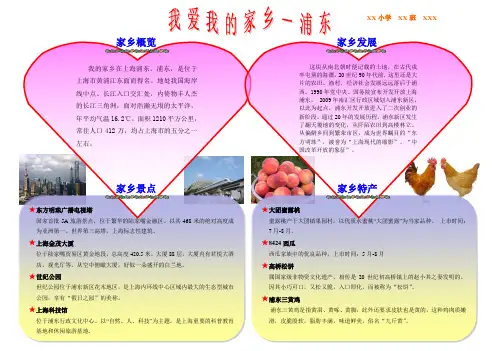 我爱家乡电子小报(上海浦东)