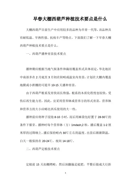 早春大棚西葫芦种植技术要点是什么