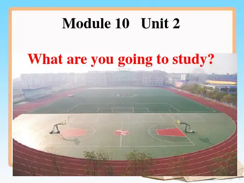 外研版(三起)六年级英语下册：Module-10-Unit-2-What-are-you-going