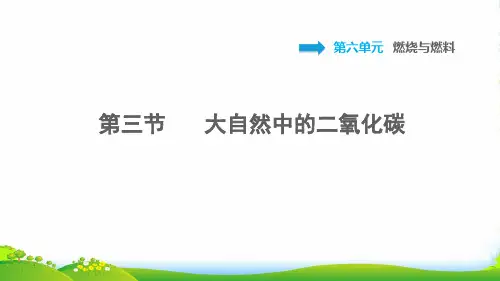 2022秋九年级化学上册第六单元燃烧与燃料第三节大自然中的二氧化碳课件鲁教版