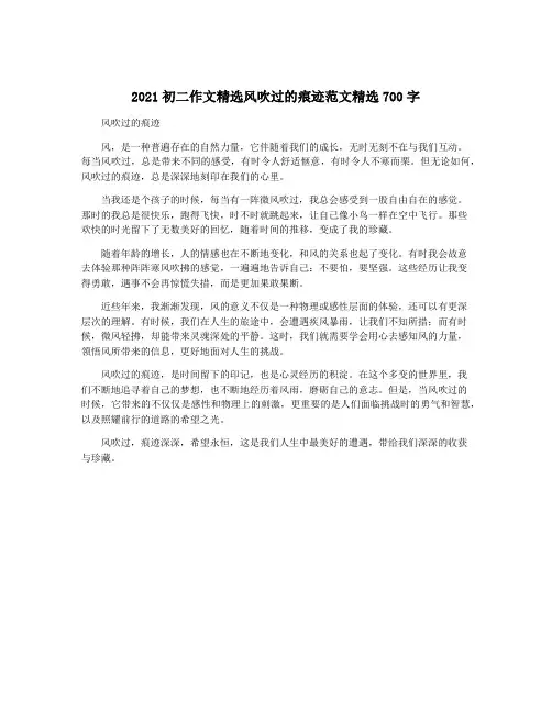 2021初二作文精选风吹过的痕迹范文精选700字
