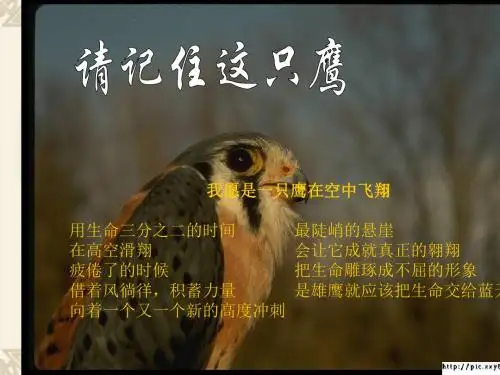 写出人物的凸显个性 PPT课件