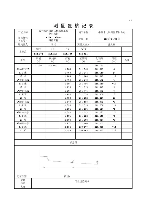 测量复核记录(填写范本)