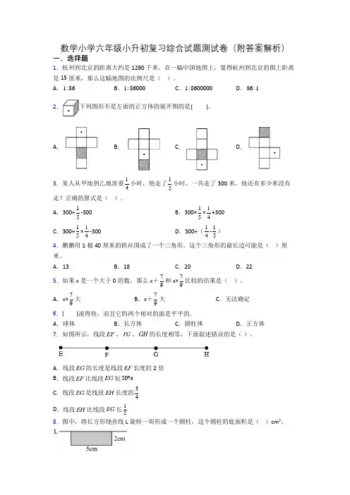 数学小学六年级小升初复习综合试题测试卷(附答案解析)
