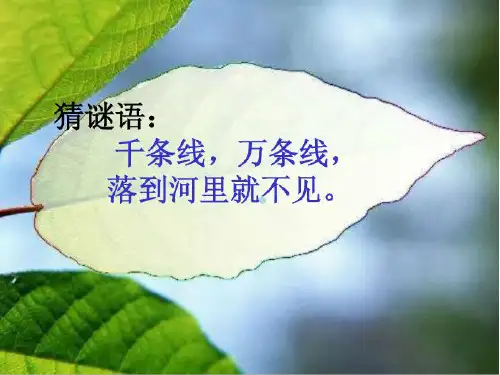 人教版一年级下册语文2春雨的色彩ppt课件