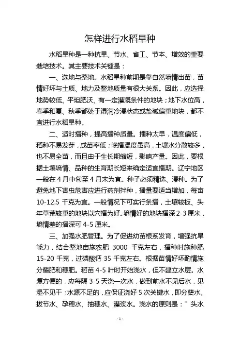 怎样进行水稻旱种