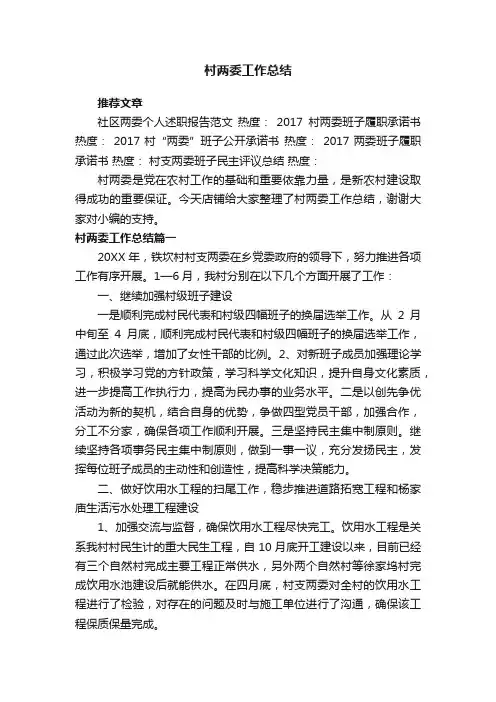 村两委工作总结